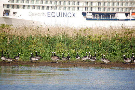 Equinox Hatzumer Sand, Foto: Voß/Wattenrat