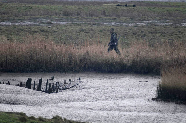 NSG_Petkum_Jäger_650 Jäger im Vogelschutzgebiet, Foto (C): Eilert Voß